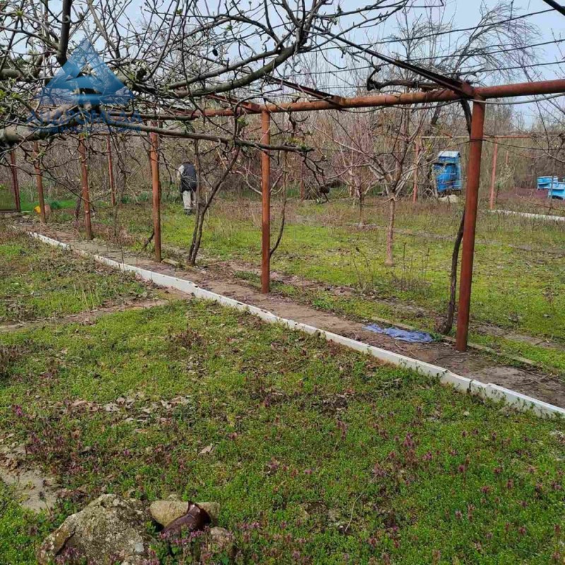 Zu verkaufen  Handlung region Plewen , Pelischat , 1500 qm | 45659907 - Bild [2]