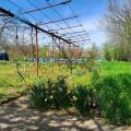 Продава ПАРЦЕЛ, област Плевен, с. Пелишат • 19900 лв. • 37934496 — Holmes.bg