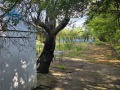 Продава ПАРЦЕЛ, област Плевен, с. Пелишат • 19900 лв. • 37934496 — Holmes.bg