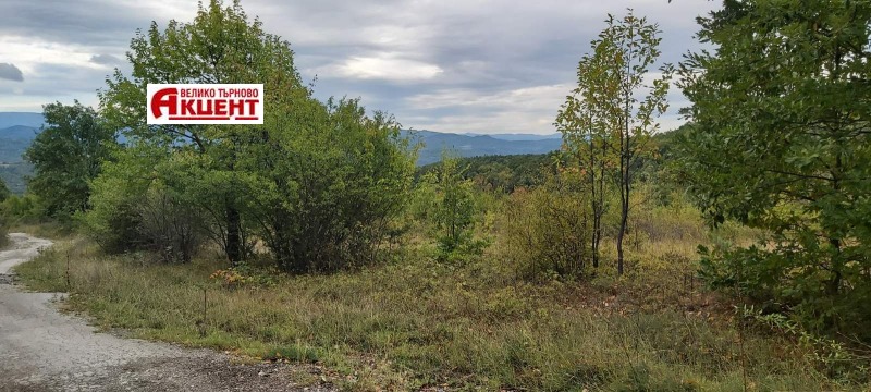 À vendre  Parcelle région Veliko Tarnovo , Blaskovtsi , 5000 m² | 60110953 - image [2]