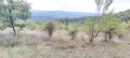 Продава ПАРЦЕЛ, с. Блъсковци, област Велико Търново, снимка 3