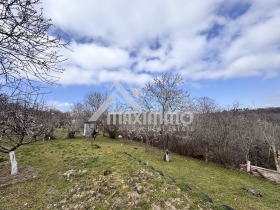 ������� ������ | Imot.bg � ����� ������ 7