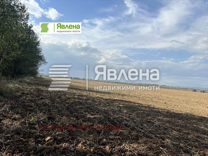 Продава ПАРЦЕЛ, с. Мусачево, област София област, снимка 4 - Парцели - 48503120