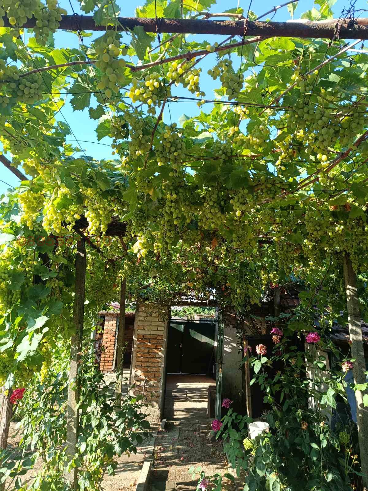 Продава КЪЩА, с. Песнопой, област Пловдив, снимка 7 - Къщи - 56332885