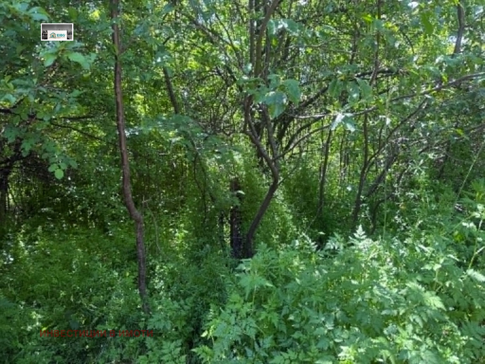 Продава ПАРЦЕЛ, с. Дивотино, област Перник
