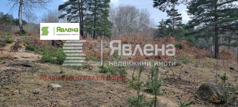 Продава ПАРЦЕЛ, гр. София, с. Владая, снимка 5 - Парцели - 54646689