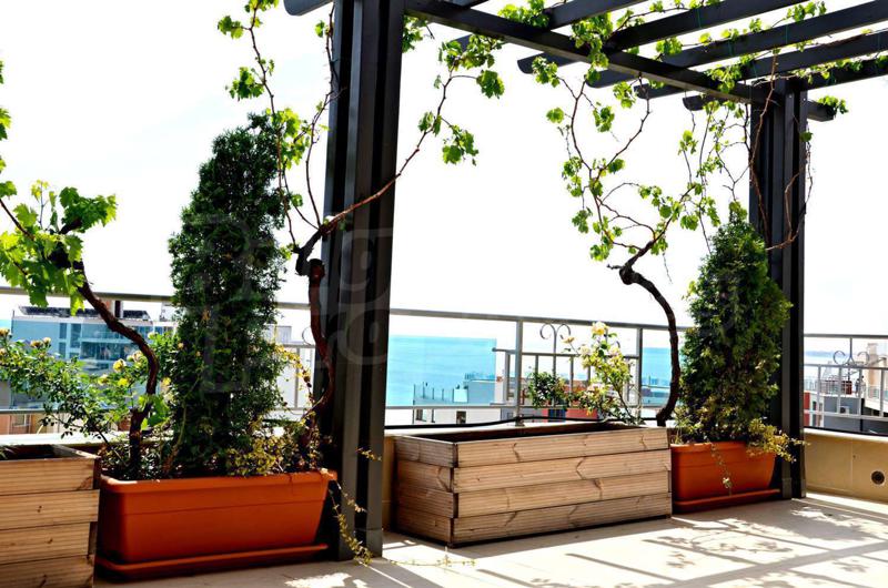 ������� 1-����� | Imot.bg � ����������� 1