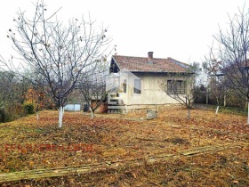 Hus Orehovitsa, region Pleven 1