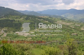 ����� ������� ������,�. ������, ������ ������