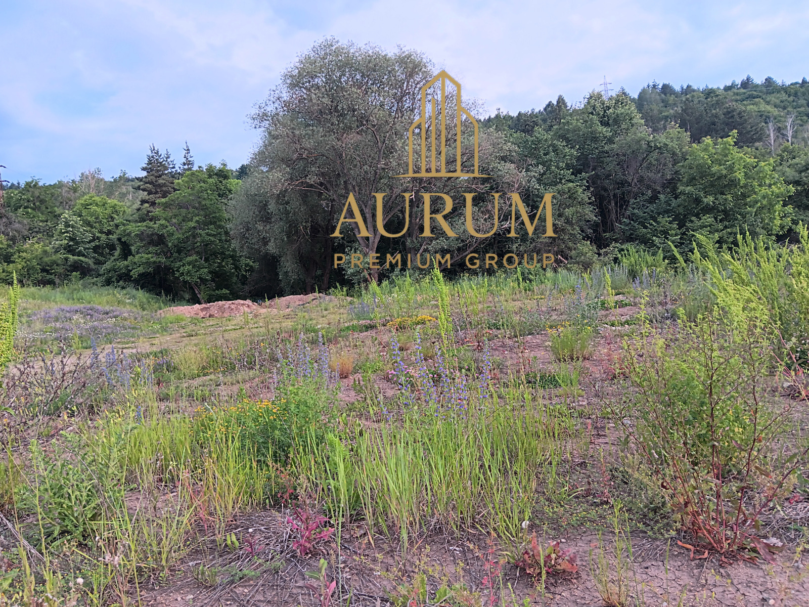 Продава ПАРЦЕЛ, гр. София, с. Герман, снимка 4 - Парцели - 53870378