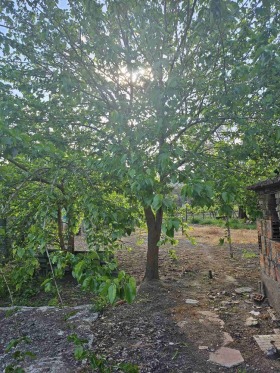 Hus Joakim Gruevo, region Plovdiv 10