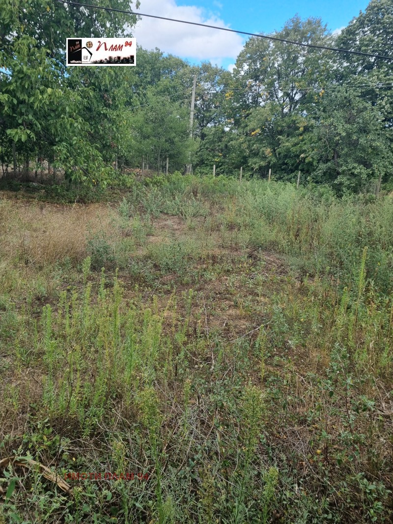 En venta  Casa región Varna , Valchi dol , 255 metros cuadrados | 95952660 - imagen [4]