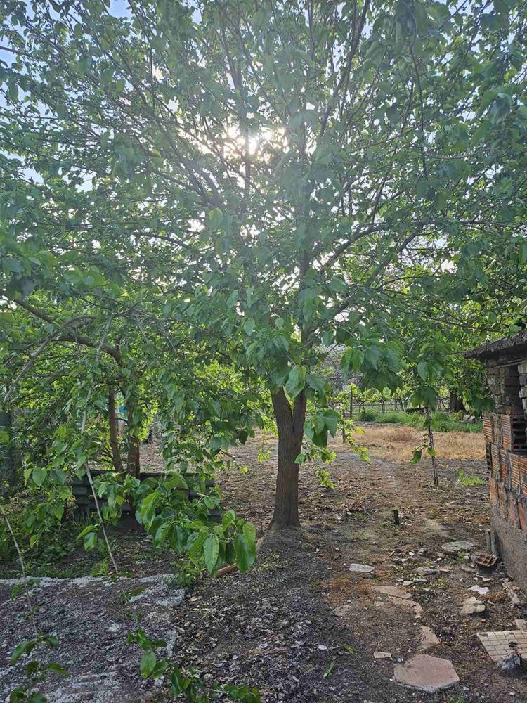 Na prodej  Dům oblast Plovdiv , Joakim Gruevo , 165 m2 | 54262884 - obraz [10]