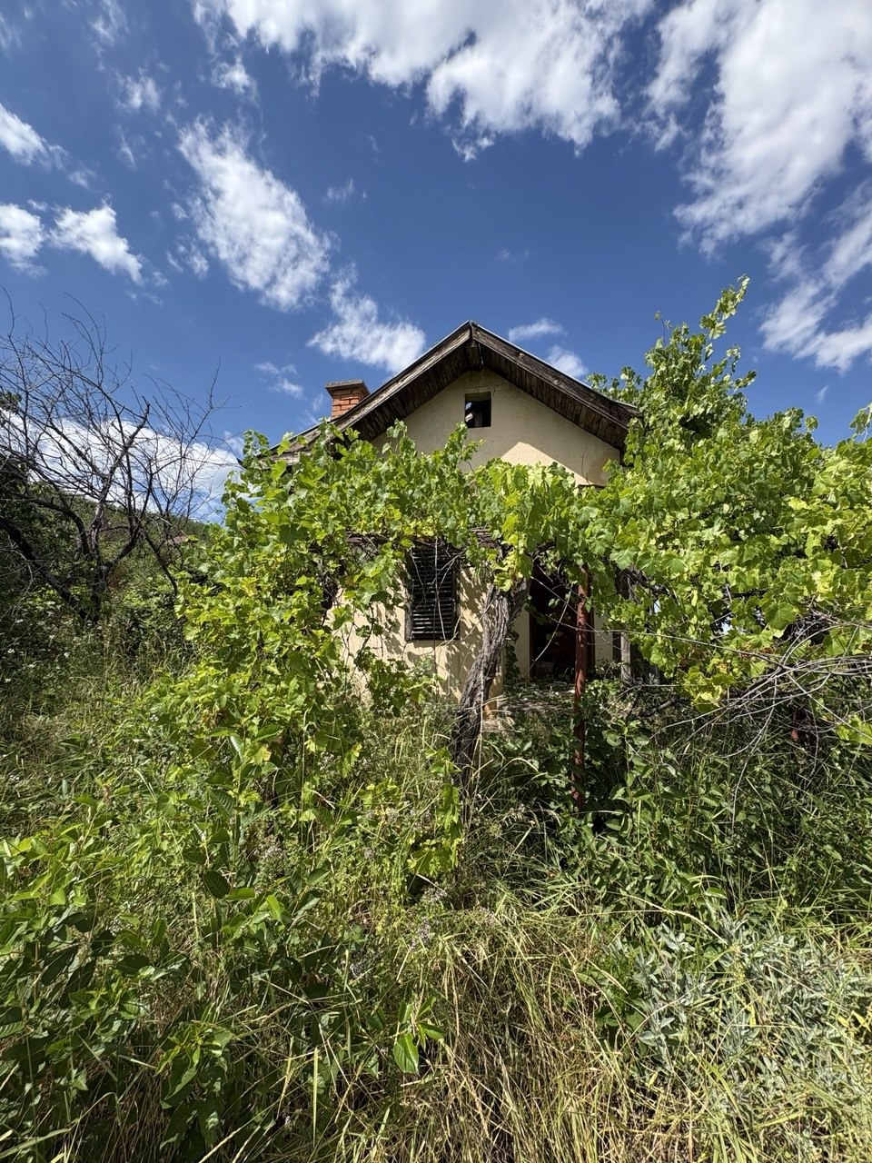 Продава ВИЛА, гр. Берковица, област Монтана