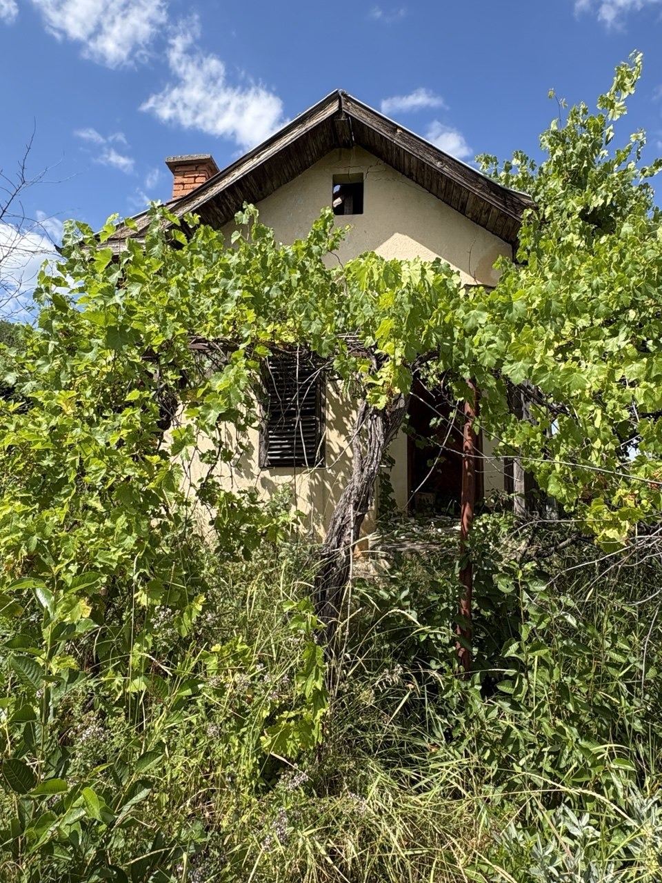 Продава ВИЛА, гр. Берковица, област Монтана, снимка 5 - Вили - 55553724