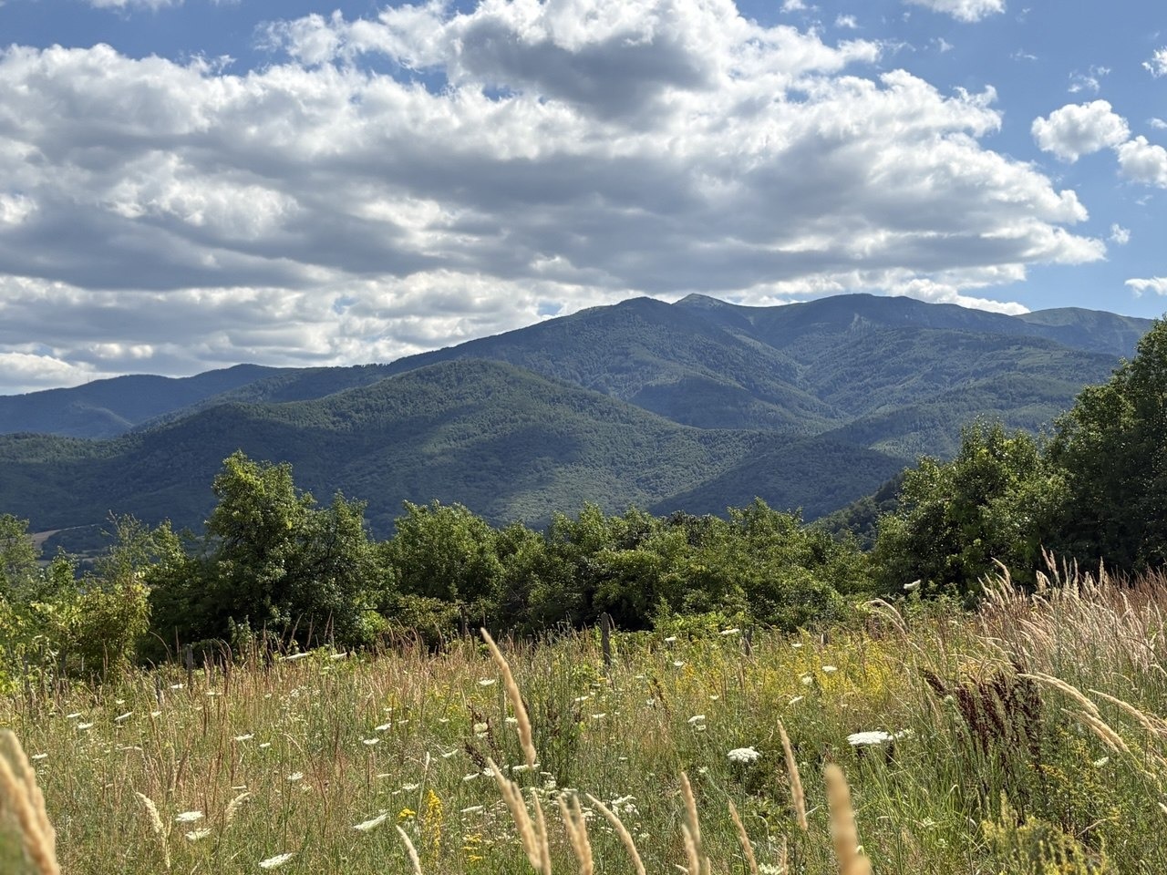 Продава ВИЛА, гр. Берковица, област Монтана, снимка 7 - Вили - 55553724