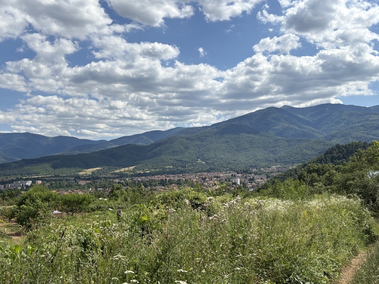 Продава ВИЛА, гр. Берковица, област Монтана, снимка 8 - Вили - 55553724