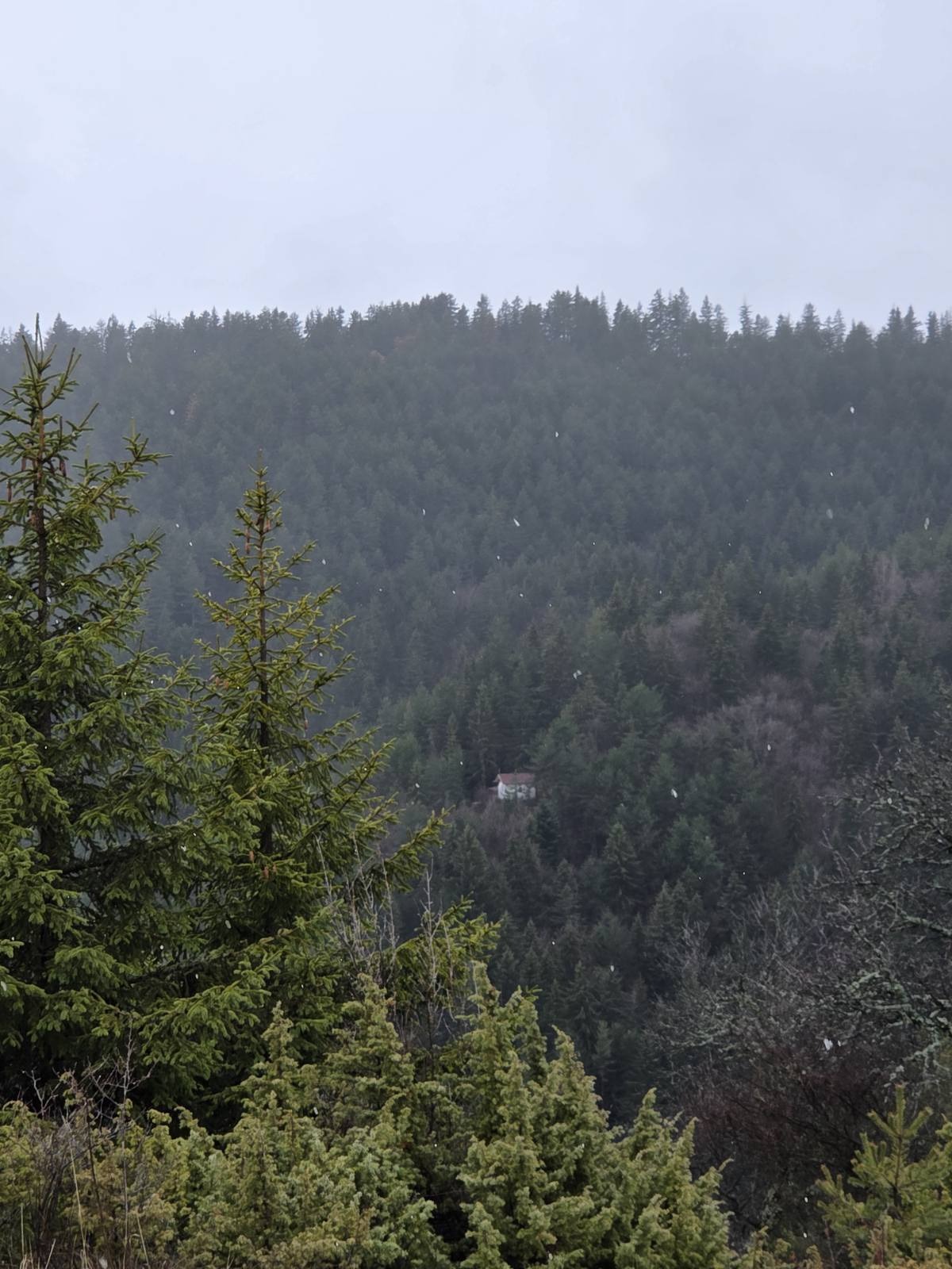 Продава ПАРЦЕЛ, с. Левочево, област Смолян