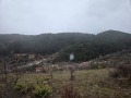 Продава ПАРЦЕЛ, с. Левочево, област Смолян, снимка 3