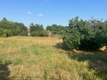 Продава ПАРЦЕЛ, гр. Козлодуй, област Враца, снимка 3