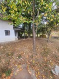 Продава КЪЩА, област Ловеч, с. Велчево • 21500 € • 82035130 6