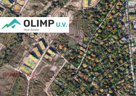 ����� ������� ������,���� �����, �������� ������