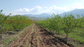 ������� ���������� ���� | Imot.bg � ����� ������ 8