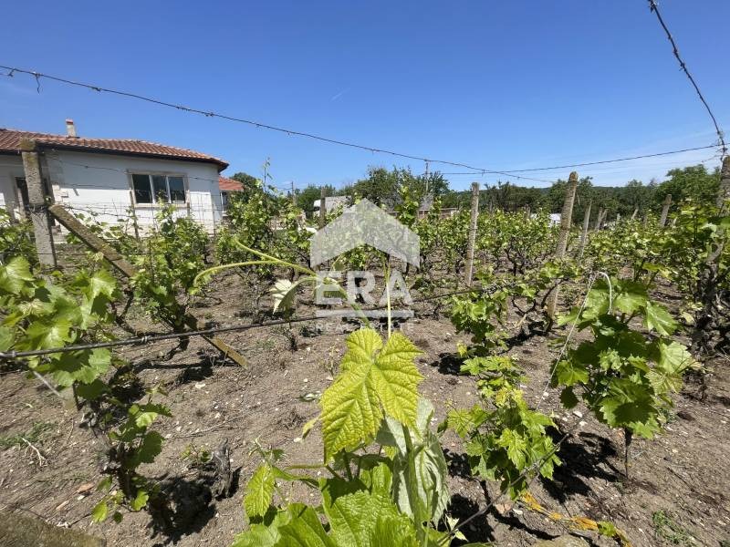 Till salu  Komplott region Varna , Osenovo , 618 kvm | 52105342 - bild [9]