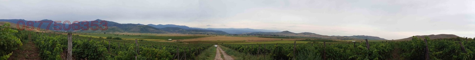 Продава ЗЕМЕДЕЛСКА ЗЕМЯ, гр. Кричим, област Пловдив, снимка 2 - Земеделска земя - 55695116