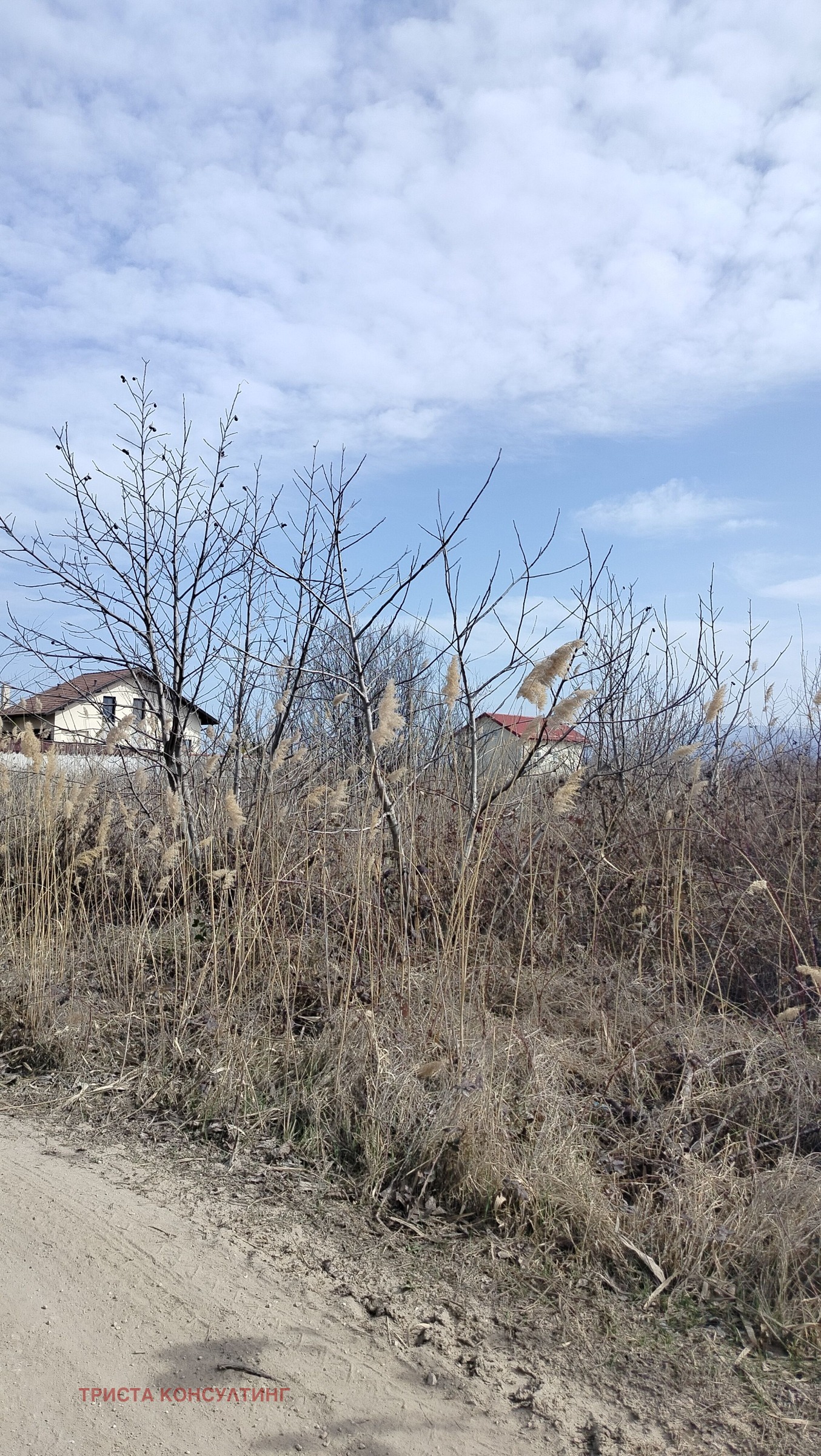 ������� ������ | Imot.bg � ����������� 1