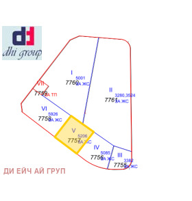 ����� ������� ������,���� �����, ���������