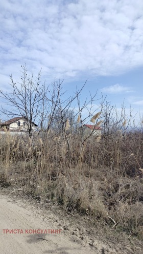 Plot Belashtitsa, region Plovdiv 1