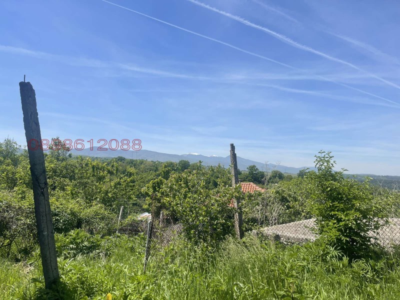 Продава ПАРЦЕЛ, гр. Белово, област Пазарджик, снимка 4 - Парцели - 52817646