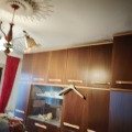 Продава 3-СТАЕН, град Враца, Вежен • 165000 лв. • 88801703 — Holmes.bg