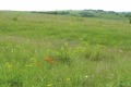 Продава ПАРЦЕЛ, град София, Модерно предградие • 585000 € • 63299399 — Holmes.bg