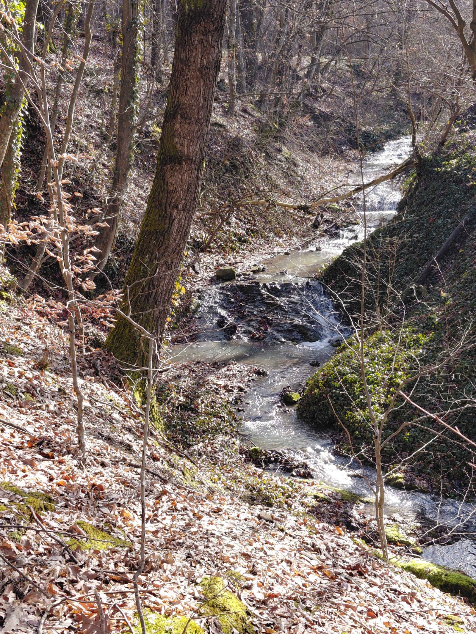 ������� ���� | Imot.bg � ����������� 7