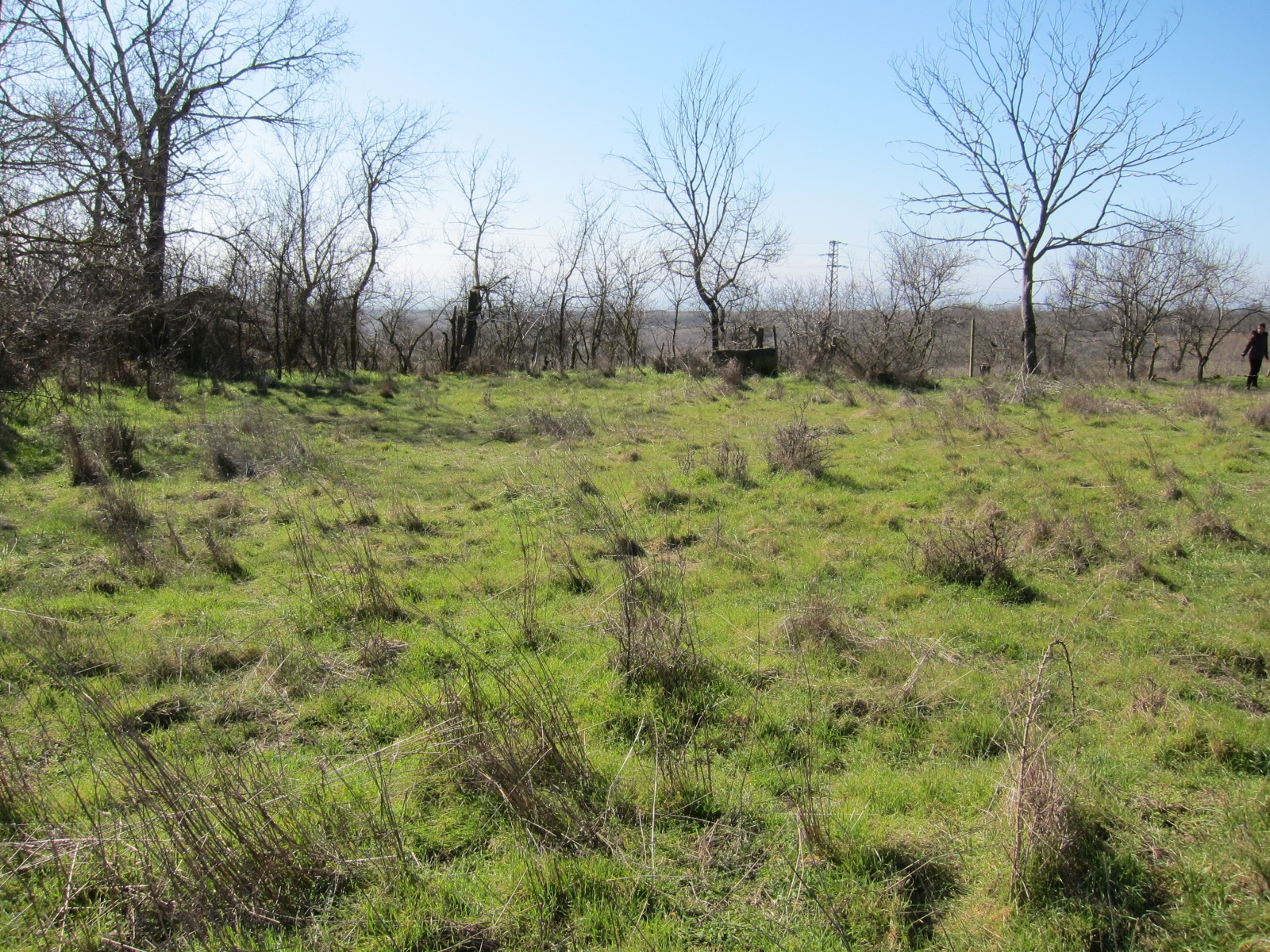 ������� ������ | Imot.bg � ����������� 1