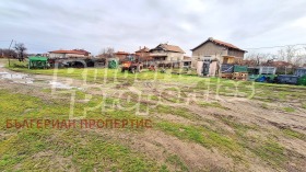 ������ ������� ����