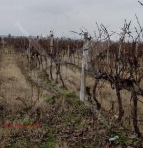 Grund Tsalapitsa, region Plovdiv