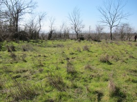 ����� ������� ������,�. ������, ������ �����