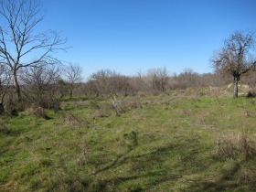 ������� ������ | Imot.bg � ����� ������ 3