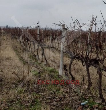 Til salg  Grund region Plovdiv , Tsalapitsa , 10000 kvm | 95431240