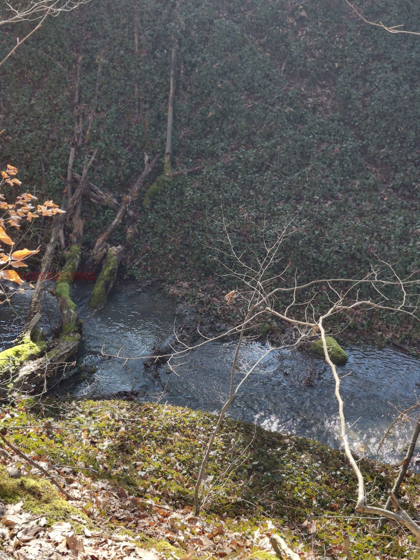 Продава ВИЛА, гр. Троян, област Ловеч, снимка 5 - Вили - 53652979