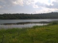 Продава ПАРЦЕЛ, гр. Батановци, област Перник, снимка 2