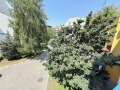 Продава 3-СТАЕН, област Бургас, к.к. Слънчев бряг • 120000 € / 234699.60 лв. • 38791538 7