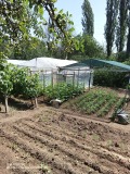Продава ПАРЦЕЛ, град Кърджали, Веселчане • 40000 лв. • 45550477 — Holmes.bg