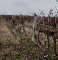 Продава ПАРЦЕЛ, област Пловдив, с. Цалапица • 35000 € • 21784546 — Holmes.bg