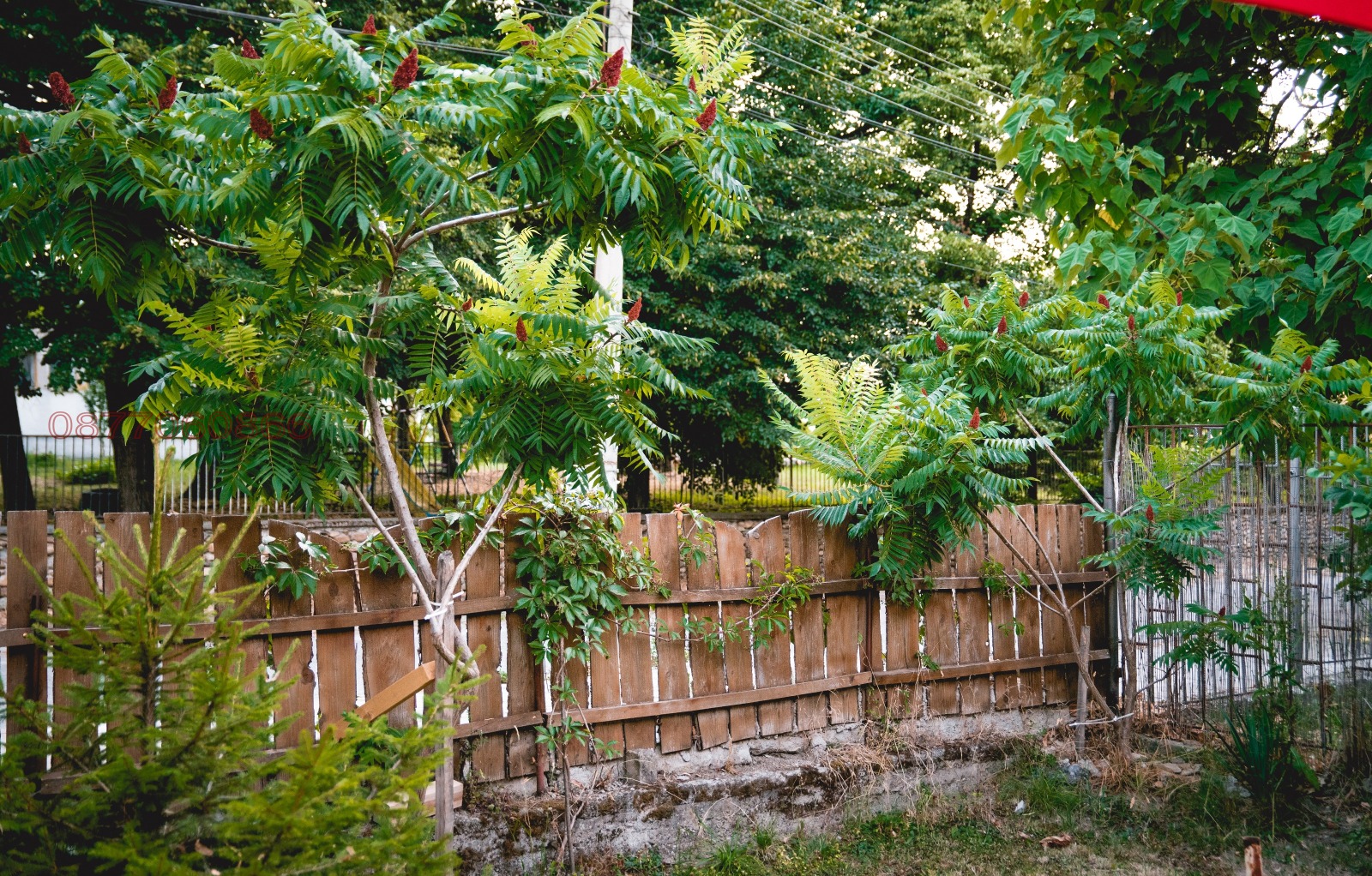 ������� ��������� | Imot.bg � ����������� 14