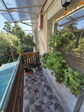 ����� ������� ���� �� ����,���� �����, �. ������