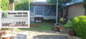 ������ ������� ����